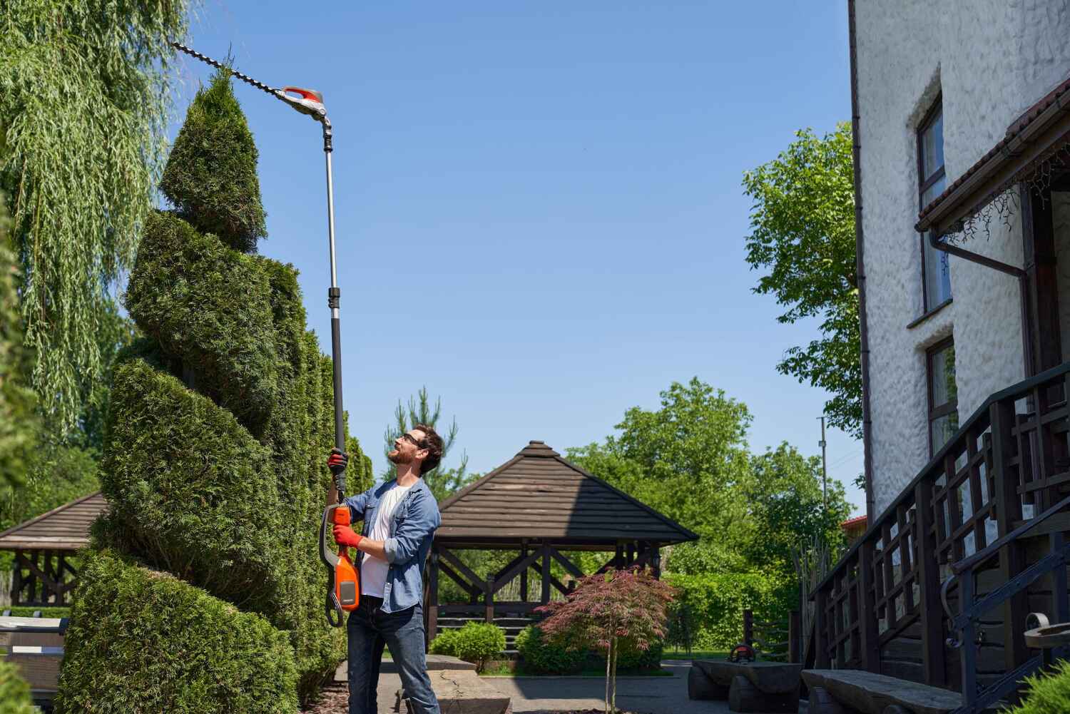 Residential Tree Removal